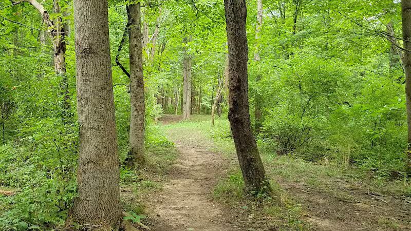 Paint Creek State Park - Bainbridge, OH