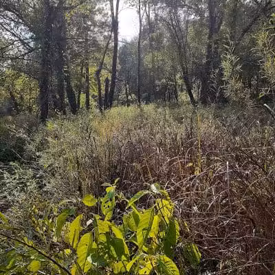 Paint Creek State Park - Bainbridge, OH