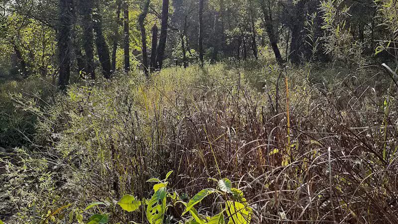 Paint Creek State Park - Bainbridge, OH