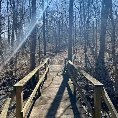 Paint Creek State Park Little Pond Trailhead - Bainbridge, OH