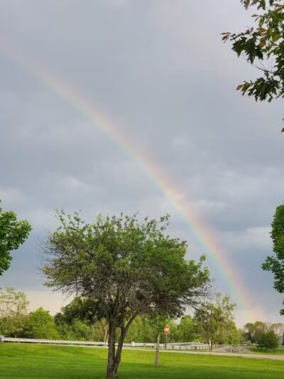 Paint Creek State Park Little Pond Trailhead - Bainbridge, OH