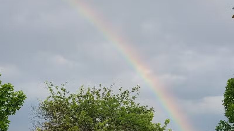 Paint Creek State Park Little Pond Trailhead - Bainbridge, OH