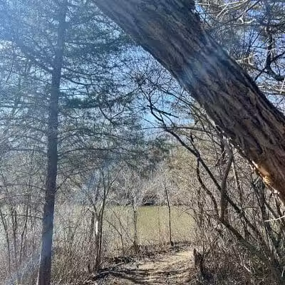 Paint Creek State Park Little Pond Trailhead - Bainbridge, OH
