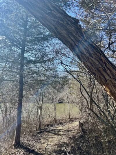 Paint Creek State Park Little Pond Trailhead - Bainbridge, OH