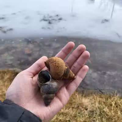 Pike Lake State Park - Bainbridge, OH