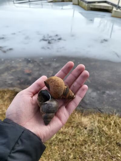 Pike Lake State Park - Bainbridge, OH