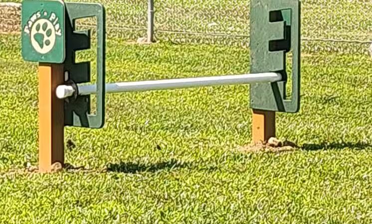 Romp and Play Dog Park - Ballston Spa, NY