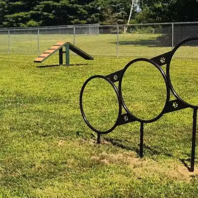 Romp and Play Dog Park - Ballston Spa, NY
