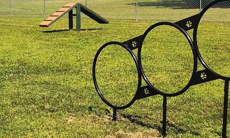 Romp and Play Dog Park - Ballston Spa, NY