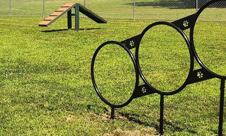 Romp and Play Dog Park - Ballston Spa, NY