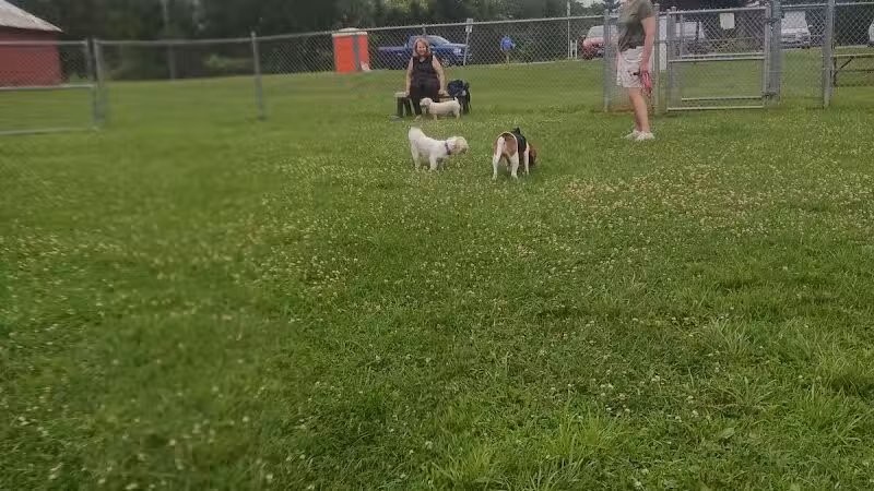 Romp and Play Dog Park - Ballston Spa, NY