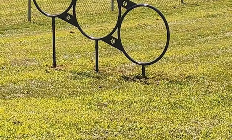 Romp and Play Dog Park - Ballston Spa, NY