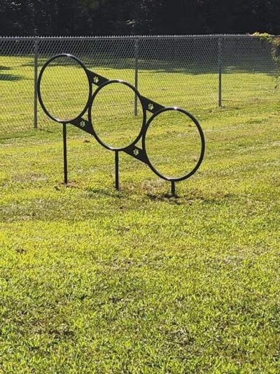 Romp and Play Dog Park - Ballston Spa, NY