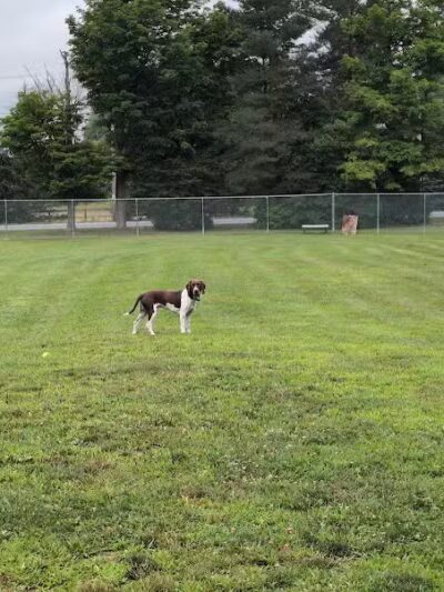 Romp and Play Dog Park - Ballston Spa, NY