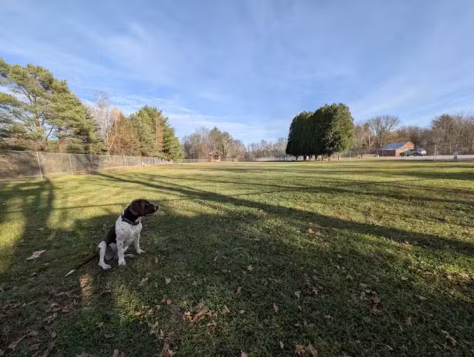 Romp and Play Dog Park - Ballston Spa, NY