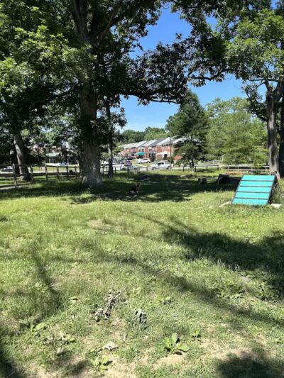 Burdick Bark Dog Park - Baltimore, MD