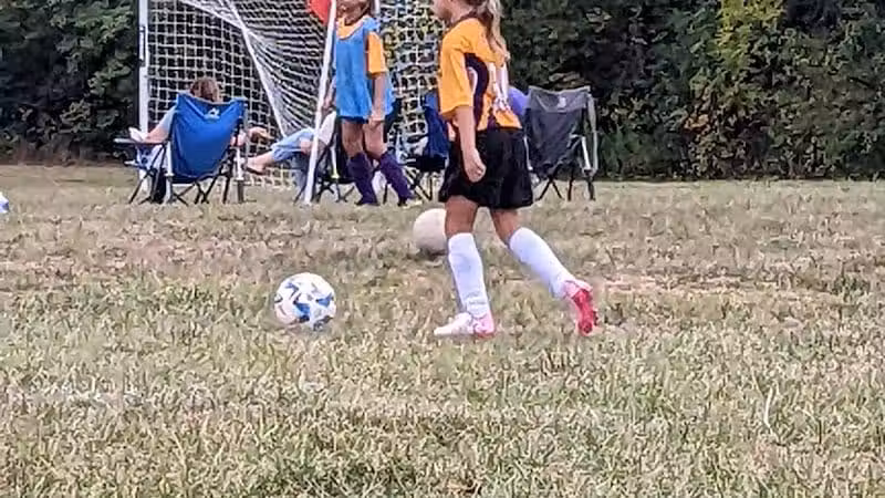 Alt Park - Baltimore, OH