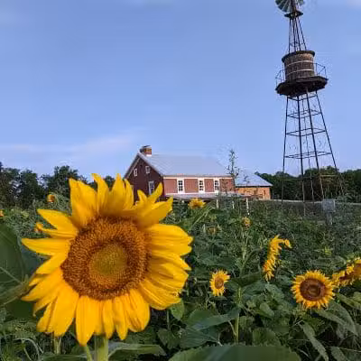 Smeck Park - Baltimore, OH
