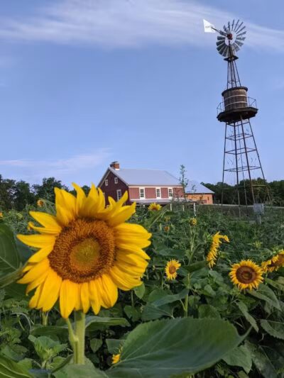 Smeck Park - Baltimore, OH