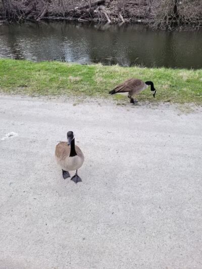 Barberton Trailhead - Barberton, OH