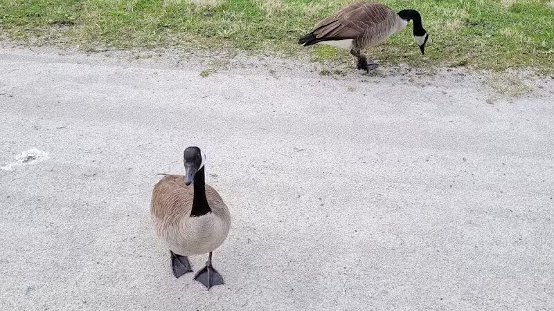 Barberton Trailhead - Barberton, OH
