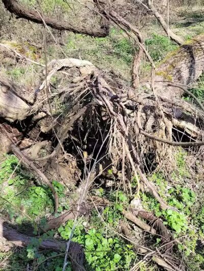 Barberton Trailhead - Barberton, OH