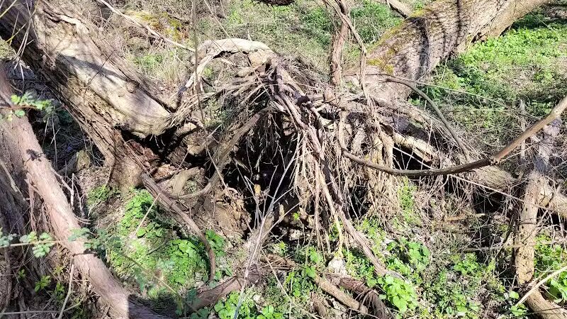 Barberton Trailhead - Barberton, OH