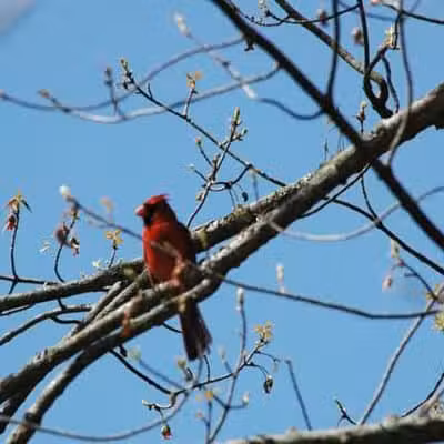 Barberton Trailhead - Barberton, OH