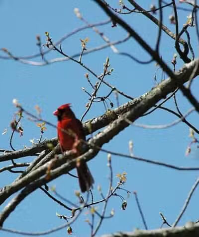Barberton Trailhead - Barberton, OH
