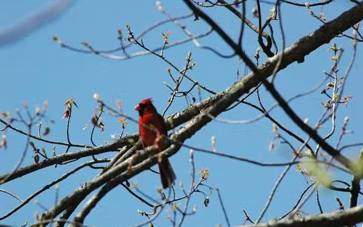 Barberton Trailhead - Barberton, OH