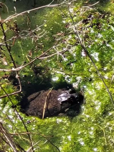 Barberton Trailhead - Barberton, OH