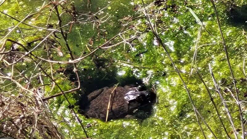 Barberton Trailhead - Barberton, OH