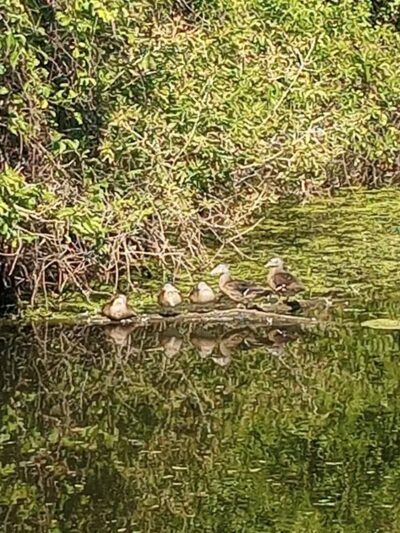 Barberton Trailhead - Barberton, OH