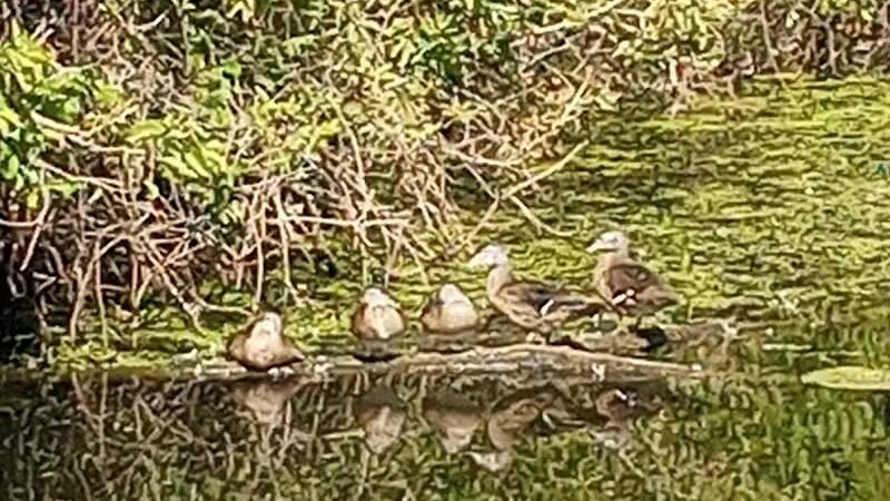 Barberton Trailhead - Barberton, OH