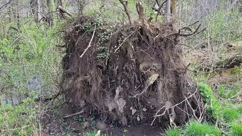 Barberton Trailhead - Barberton, OH