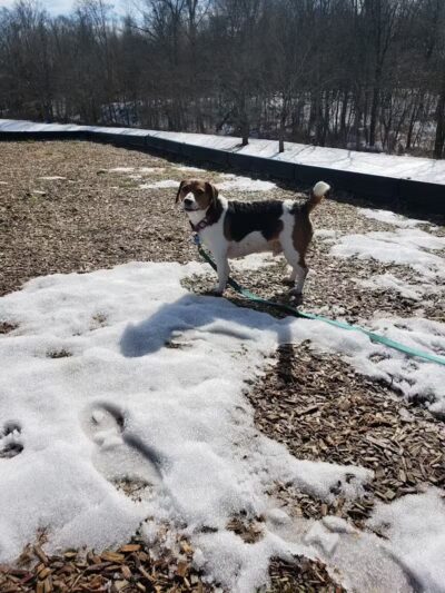 Breitenstine Park - Barberton, OH