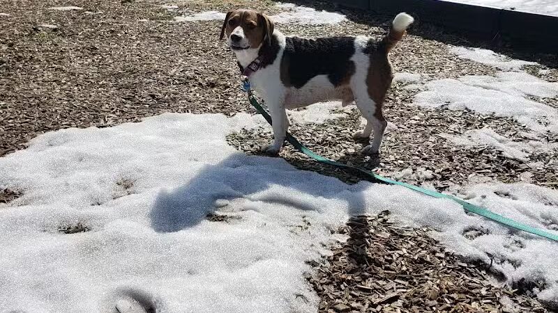 Breitenstine Park - Barberton, OH