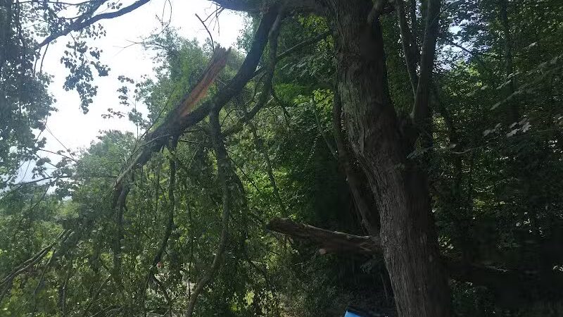 Breitenstine Park - Barberton, OH