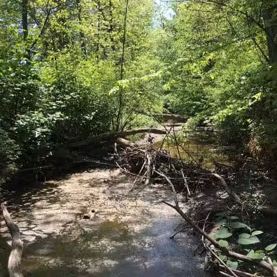Breitenstine Park - Barberton, OH