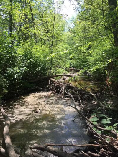 Breitenstine Park - Barberton, OH