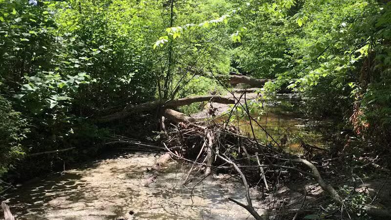 Breitenstine Park - Barberton, OH