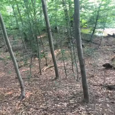 Breitenstine Park - Barberton, OH