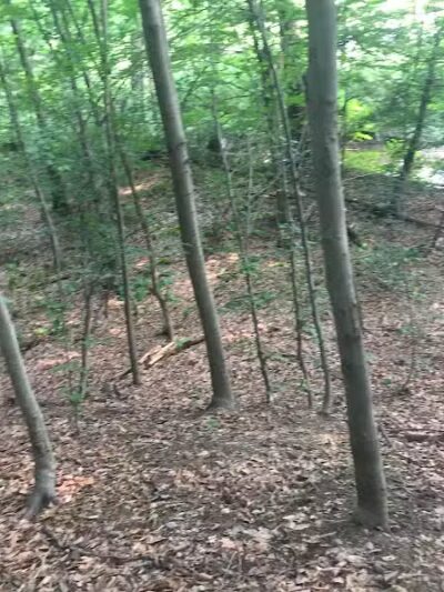 Breitenstine Park - Barberton, OH