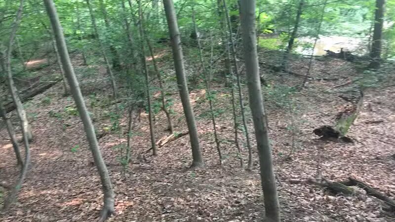 Breitenstine Park - Barberton, OH