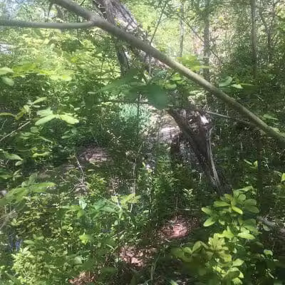 Breitenstine Park - Barberton, OH