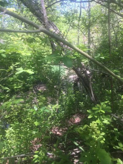 Breitenstine Park - Barberton, OH