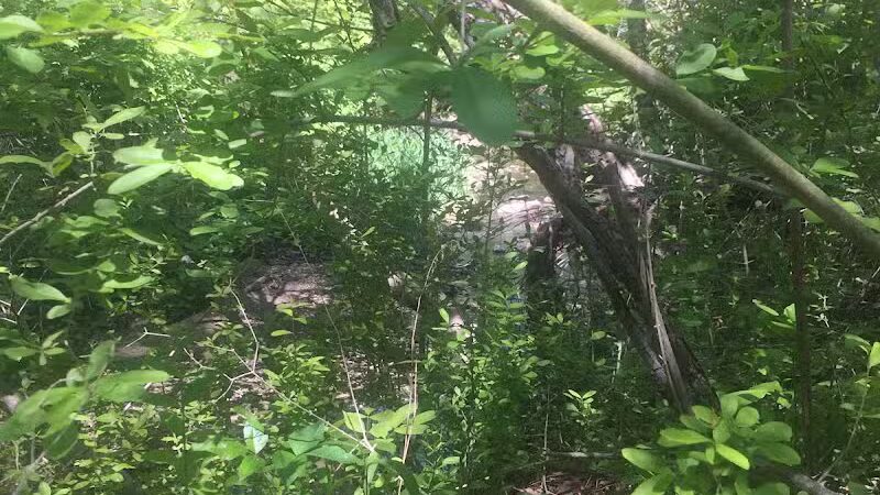 Breitenstine Park - Barberton, OH