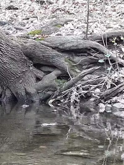 Breitenstine Park - Barberton, OH