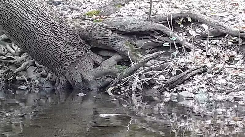 Breitenstine Park - Barberton, OH