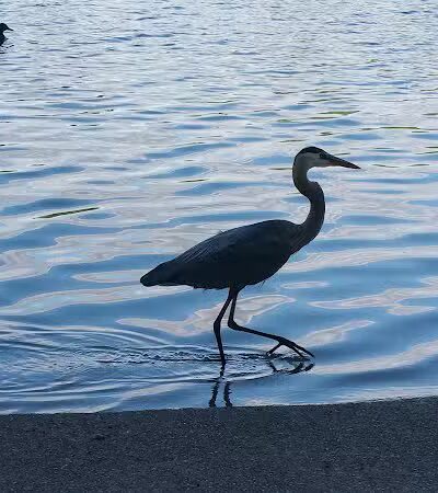 City of Barberton Parks Department - Barberton, OH